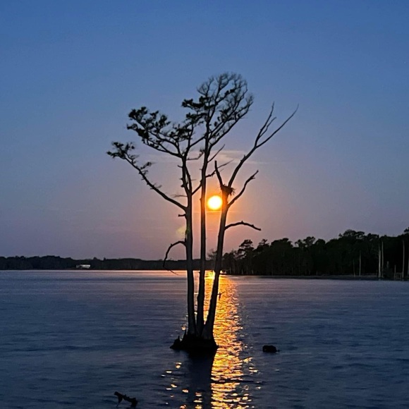 Meet your Posher, Hart Home by Chandco! - Picture 4 of 16